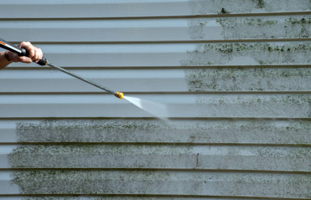 Best Gutter Cleaning  in Ben Wheeler, TX