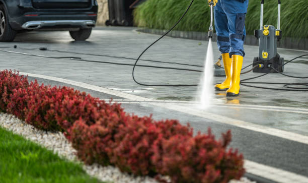 Best Sidewalk and Walkway Cleaning  in Ben Wheeler, TX